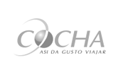 Cocha
